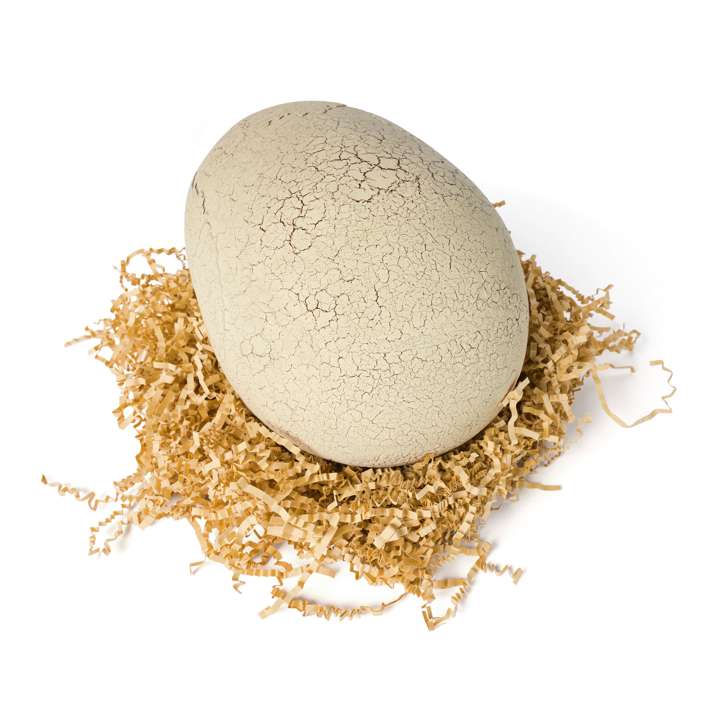 Œuf De Dinosaure Interactif Primal Hatch